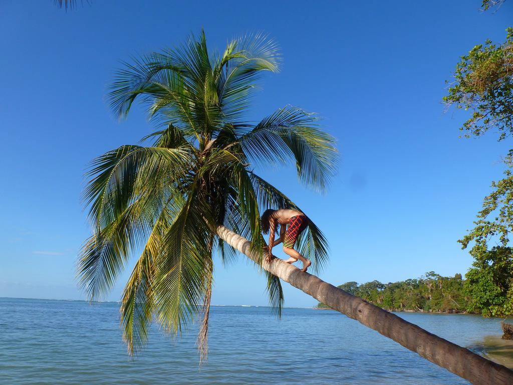 Hotel La Costa De Papito Puerto Viejo de Talamanca Eksteriør billede