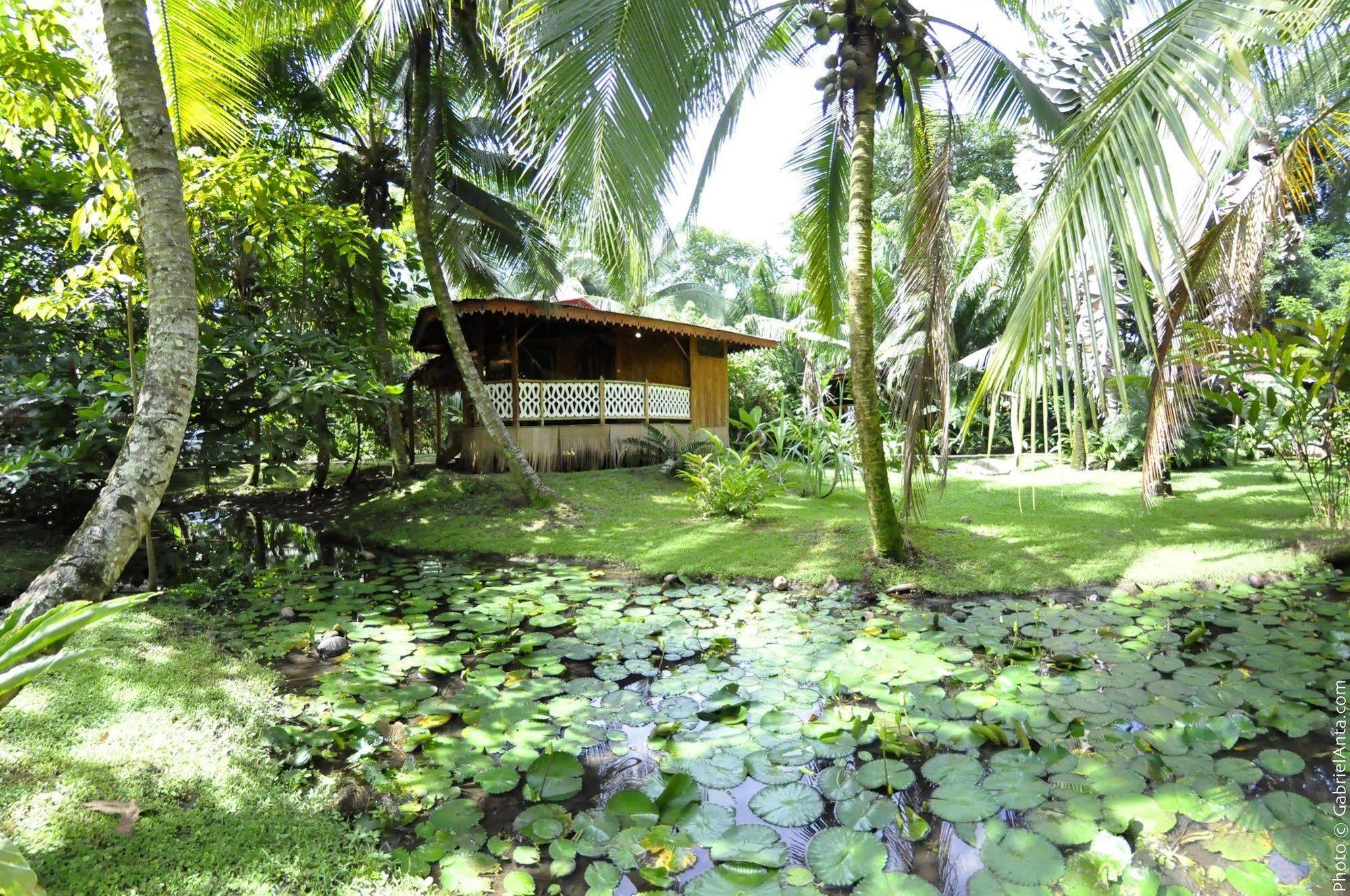 Hotel La Costa De Papito Puerto Viejo de Talamanca Eksteriør billede